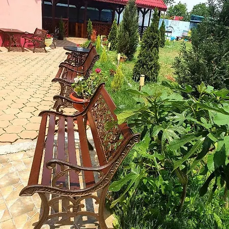 La Fery Din Costinești