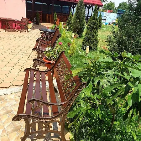 Vila Fery Costineşti