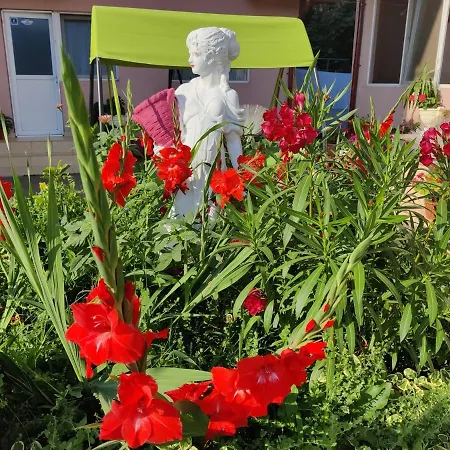 Vendégház La Fery Din