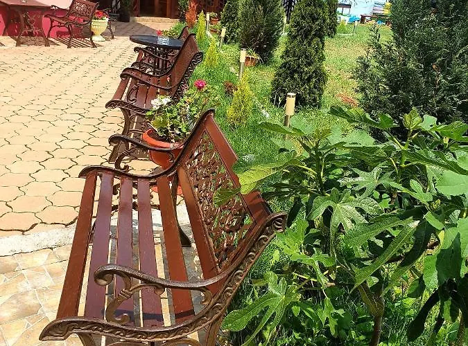 La Fery Din Costinești